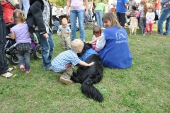 phoca_thumb_l_dsc_0328