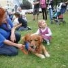 phoca_thumb_m_dsc_0187