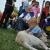 phoca_thumb_s_dsc_0322