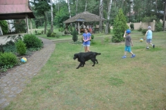 phoca_thumb_l_krwinka-26.07.2016_007