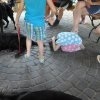 phoca_thumb_m_krwinka-26.07.2016_003