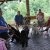 phoca_thumb_s_krwinka-26.07.2016_000