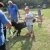 phoca_thumb_s_krwinka-26.07.2016_005