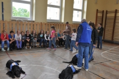 krzywickiego-29.05.2014_000