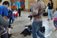 krzywickiego-29.05.2014_002