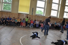 phoca_thumb_l_krzywickiego-29.05.2014_001