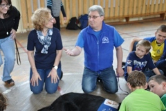 phoca_thumb_l_krzywickiego-29.05.2014_003
