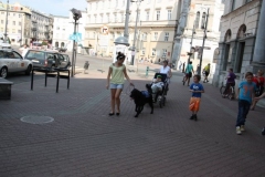 phoca_thumb_l_img_2436