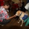 phoca_thumb_m_img_2449