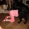 phoca_thumb_m_img_2491