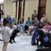 phoca_thumb_m_2.03.2016-matka-polka_002