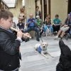 phoca_thumb_m_2.03.2016-matka-polka_007