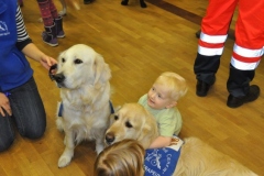 phoca_thumb_l_gwiazdka-mbank-2013-14