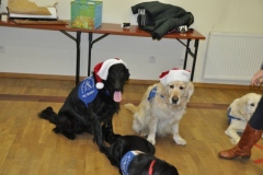 phoca_thumb_l_gwiazdka-mbank-2013-2