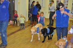 phoca_thumb_l_gwiazdka-mbank-2013-3