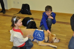 phoca_thumb_l_gwiazdka-mbank-2013-4