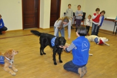 phoca_thumb_l_gwiazdka-mbank-2013-9