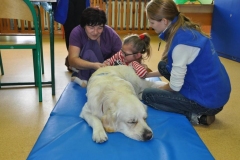phoca_thumb_l_orew_niezabudka_kutno-8