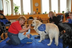 phoca_thumb_l_orew_niezabudka_kutno-9