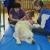 phoca_thumb_s_orew_niezabudka_kutno-8