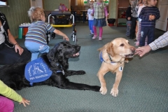 phoca_thumb_l_niepubliczne-przedszkole-integracyjne-dla-dzieci-z-wadami-suchu-ul.osinowa_005