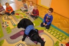 phoca_thumb_l_p-128_002