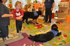 phoca_thumb_l_p-128_011