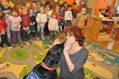 phoca_thumb_l_p-128_012