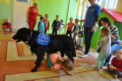 phoca_thumb_l_p-128_023