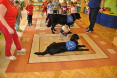 phoca_thumb_l_p-128_025