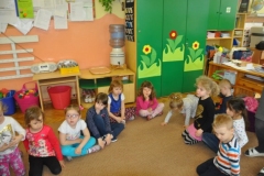 phoca_thumb_l_p-128_031