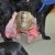 phoca_thumb_s_przedszkole-nr-13_009