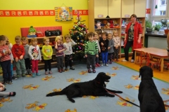 phoca_thumb_l_pm-21_19