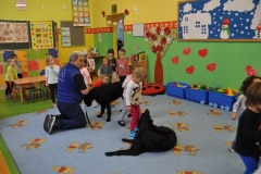 phoca_thumb_l_pm-21_22