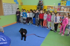 phoca_thumb_l_pm-21_23