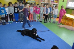 phoca_thumb_l_pm-21_24