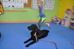 phoca_thumb_l_pm-21_27