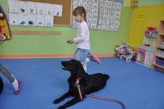 phoca_thumb_l_pm-21_28