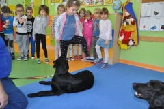 phoca_thumb_l_pm-21_29