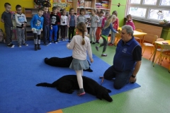 phoca_thumb_l_pm-21_30