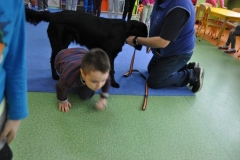 phoca_thumb_l_pm-21_31