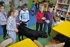 phoca_thumb_l_pm-21_32