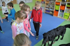 phoca_thumb_l_pm-21_34