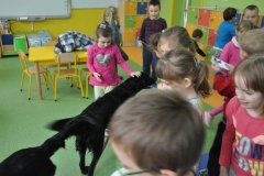 phoca_thumb_l_pm-21_35