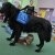 phoca_thumb_s_dsc_0258