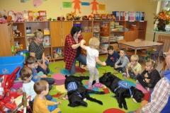 phoca_thumb_l_p-kutno_11