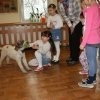 phoca_thumb_m_02.2017_004