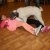 phoca_thumb_s_02.2017_011