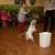phoca_thumb_s_02.2017_012