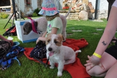phoca_thumb_l_piknik-czarny-staw_016
